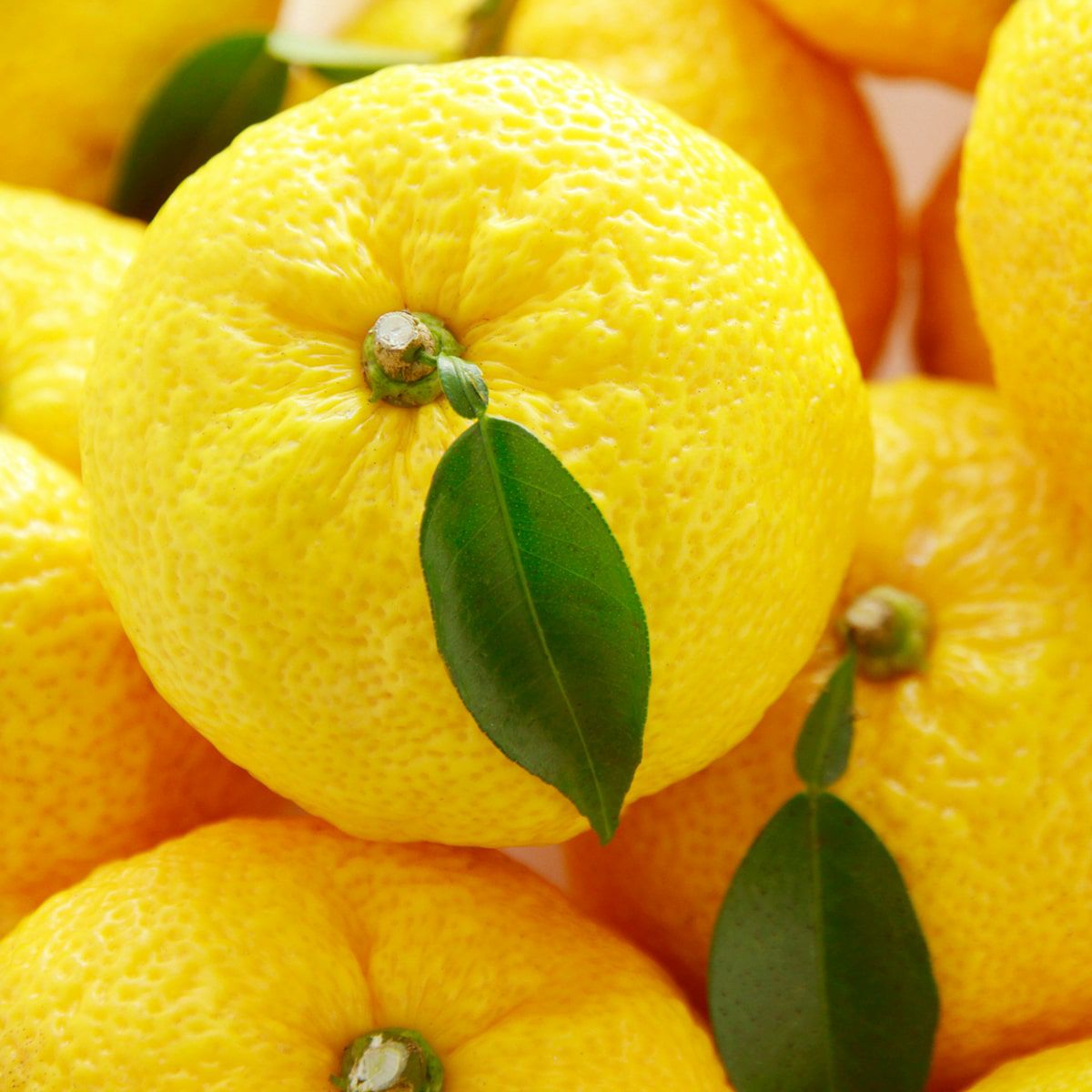 ピローミスト ぴろま枕用フレグランス 柚子 30mL